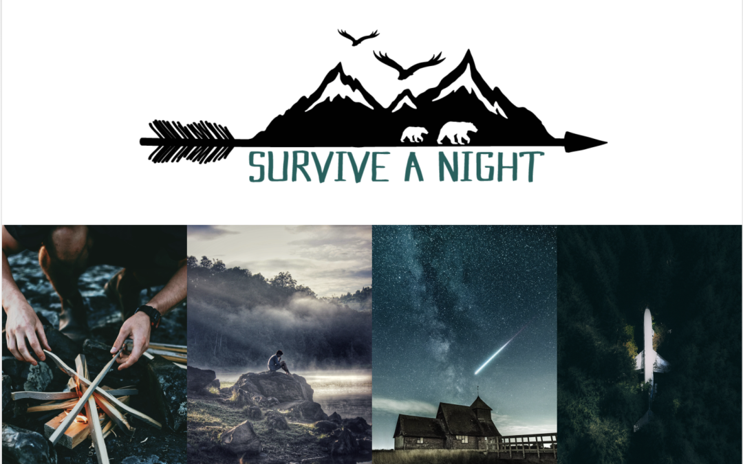 Survive a Night Website build